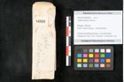 Foto (Objekt + Etikett) von Typha latissima Braun (NHMW-GEO-2024-0188-8090)